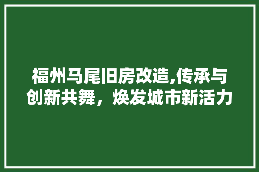 福州马尾旧房改造,传承与创新共舞，焕发城市新活力