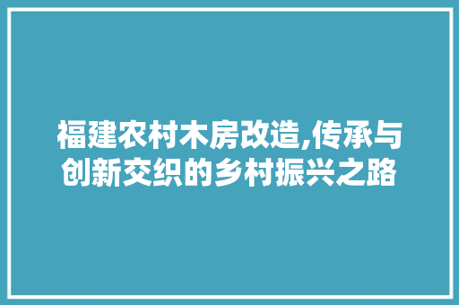 福建农村木房改造,传承与创新交织的乡村振兴之路