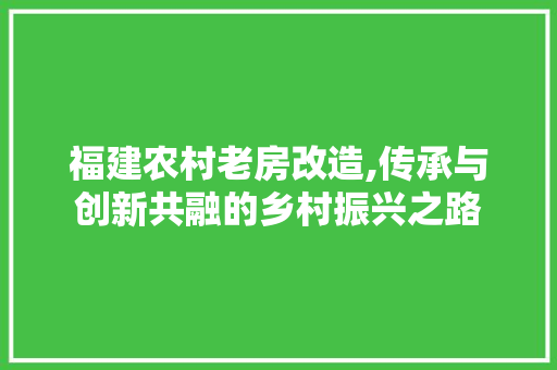 福建农村老房改造,传承与创新共融的乡村振兴之路