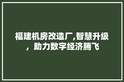 福建机房改造厂,智慧升级，助力数字经济腾飞