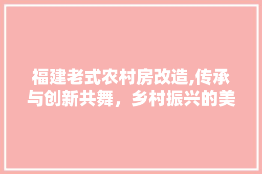 福建老式农村房改造,传承与创新共舞，乡村振兴的美丽画卷