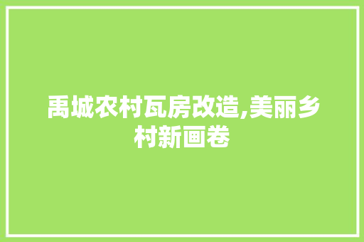 禹城农村瓦房改造,美丽乡村新画卷