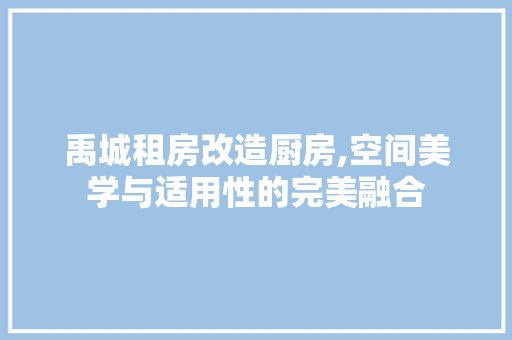 禹城租房改造厨房,空间美学与适用性的完美融合