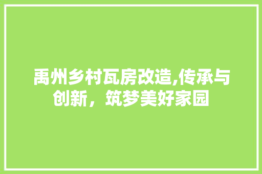 禹州乡村瓦房改造,传承与创新，筑梦美好家园