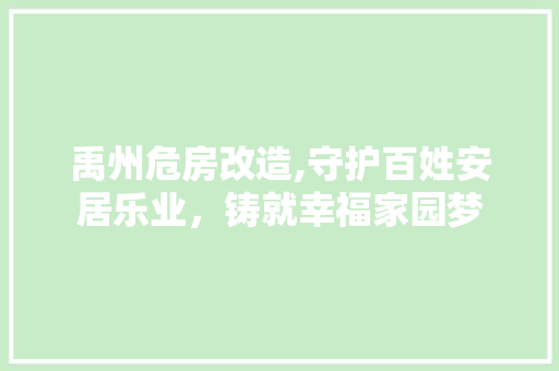 禹州危房改造,守护百姓安居乐业，铸就幸福家园梦