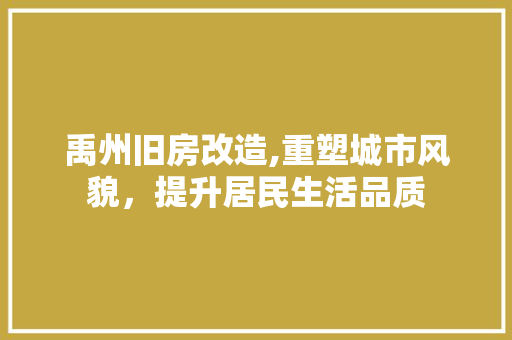 禹州旧房改造,重塑城市风貌，提升居民生活品质
