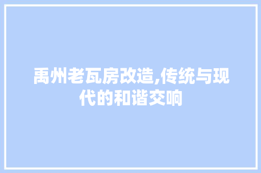 禹州老瓦房改造,传统与现代的和谐交响