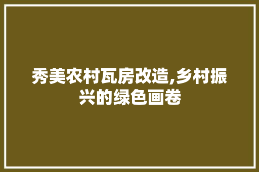 秀美农村瓦房改造,乡村振兴的绿色画卷 厨房维修