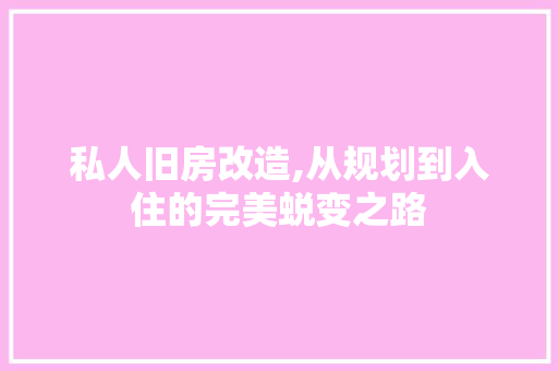 私人旧房改造,从规划到入住的完美蜕变之路 厨房维修
