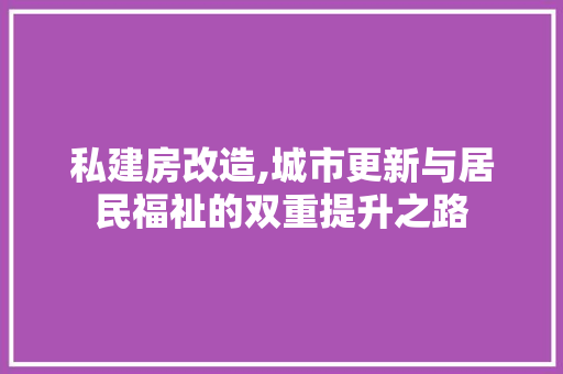 私建房改造,城市更新与居民福祉的双重提升之路