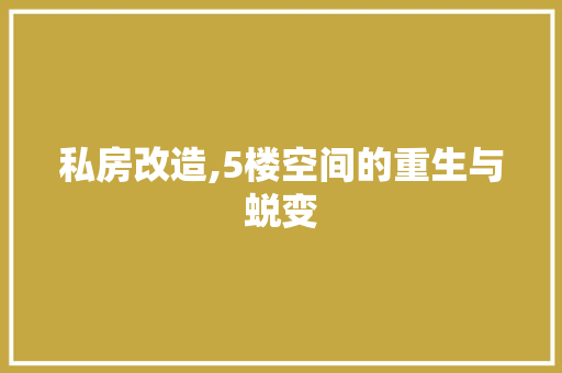 私房改造,5楼空间的重生与蜕变