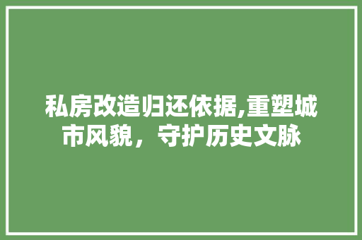 私房改造归还依据,重塑城市风貌，守护历史文脉