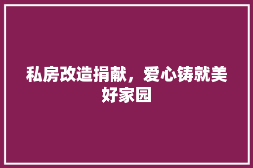 私房改造捐献，爱心铸就美好家园