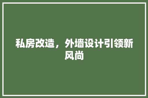 私房改造，外墙设计引领新风尚