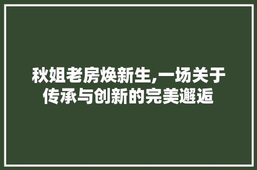 秋姐老房焕新生,一场关于传承与创新的完美邂逅