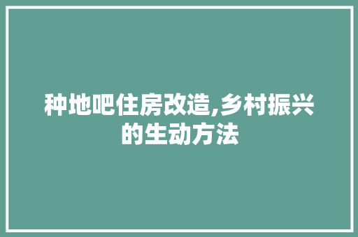 种地吧住房改造,乡村振兴的生动方法