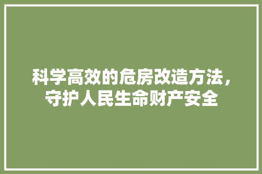 科学高效的危房改造方法，守护人民生命财产安全 墙体维修