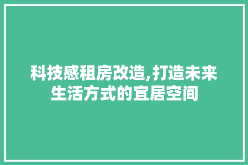 科技感租房改造,打造未来生活方式的宜居空间