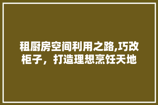 租厨房空间利用之路,巧改柜子，打造理想烹饪天地