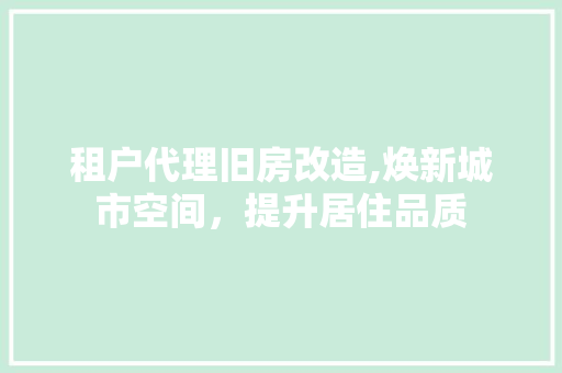 租户代理旧房改造,焕新城市空间，提升居住品质
