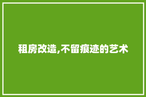 租房改造,不留痕迹的艺术