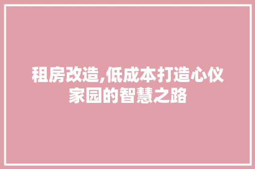 租房改造,低成本打造心仪家园的智慧之路
