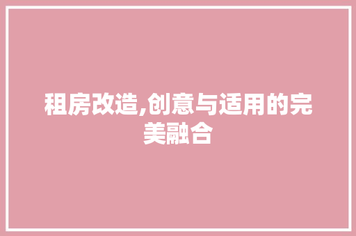 租房改造,创意与适用的完美融合