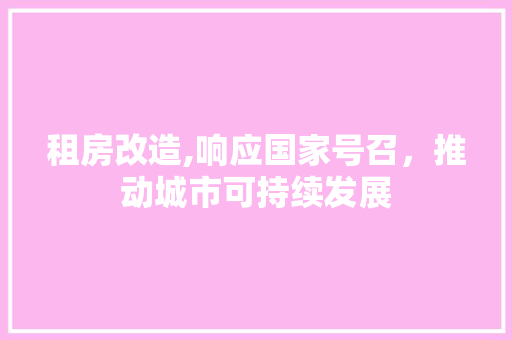 租房改造,响应国家号召，推动城市可持续发展