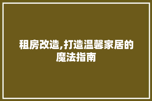 租房改造,打造温馨家居的魔法指南