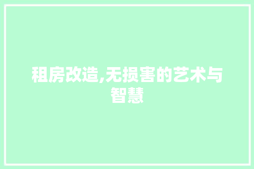 租房改造,无损害的艺术与智慧
