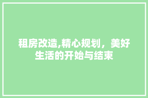 租房改造,精心规划，美好生活的开始与结束