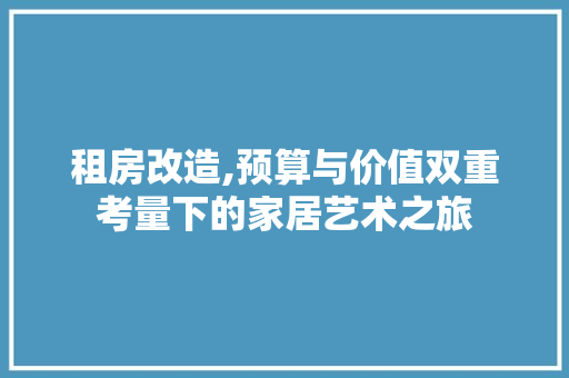 租房改造,预算与价值双重考量下的家居艺术之旅