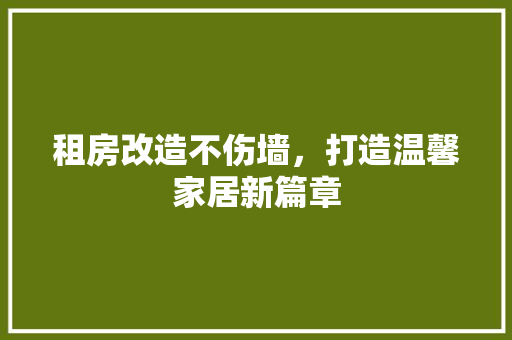 租房改造不伤墙，打造温馨家居新篇章