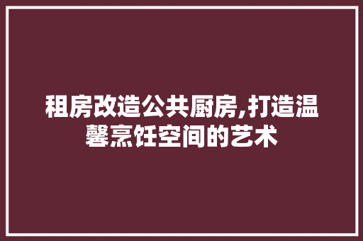 租房改造公共厨房,打造温馨烹饪空间的艺术