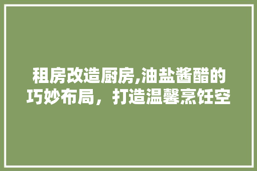 租房改造厨房,油盐酱醋的巧妙布局，打造温馨烹饪空间
