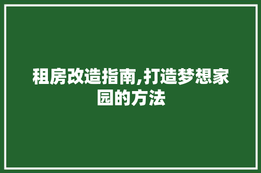 租房改造指南,打造梦想家园的方法