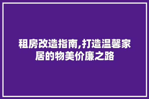 租房改造指南,打造温馨家居的物美价廉之路