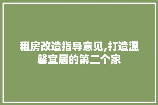 租房改造指导意见,打造温馨宜居的第二个家