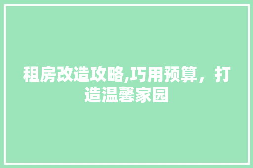 租房改造攻略,巧用预算，打造温馨家园
