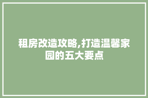 租房改造攻略,打造温馨家园的五大要点