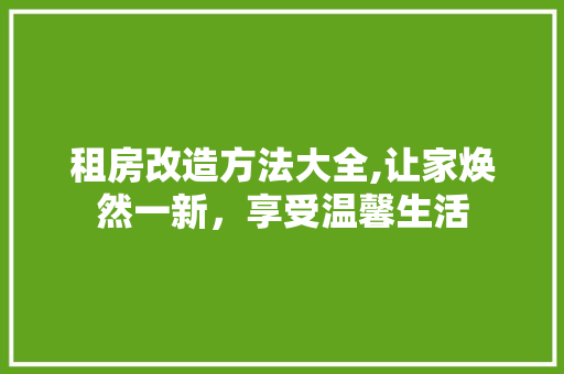 租房改造方法大全,让家焕然一新，享受温馨生活