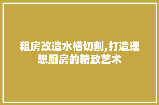 租房改造水槽切割,打造理想厨房的精致艺术