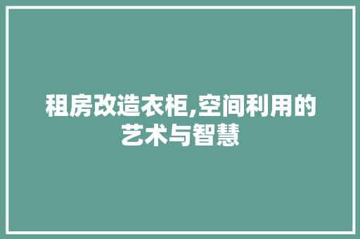 租房改造衣柜,空间利用的艺术与智慧