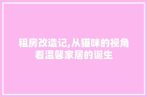 租房改造记,从猫咪的视角看温馨家居的诞生