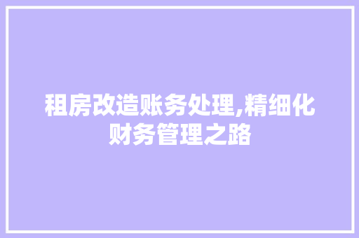 租房改造账务处理,精细化财务管理之路