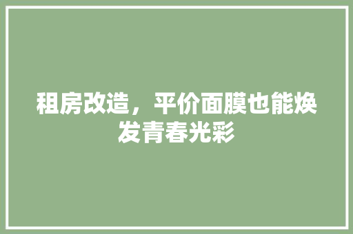 租房改造，平价面膜也能焕发青春光彩