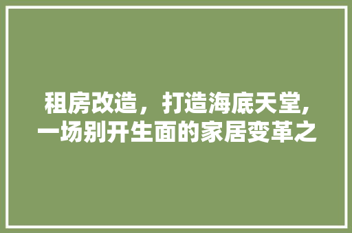租房改造，打造海底天堂,一场别开生面的家居变革之旅