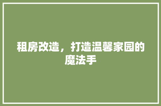 租房改造，打造温馨家园的魔法手