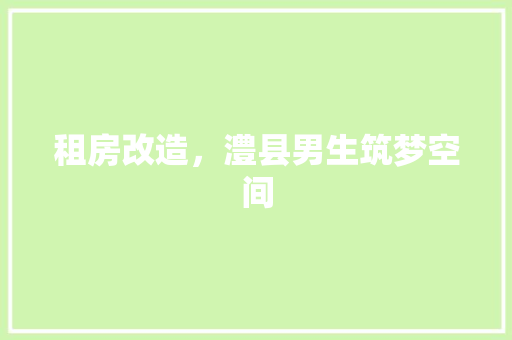 租房改造，澧县男生筑梦空间