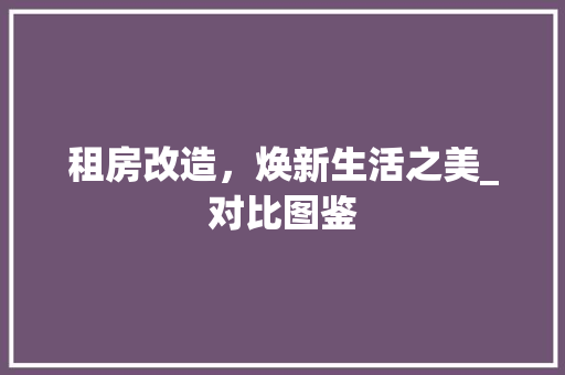 租房改造，焕新生活之美_对比图鉴